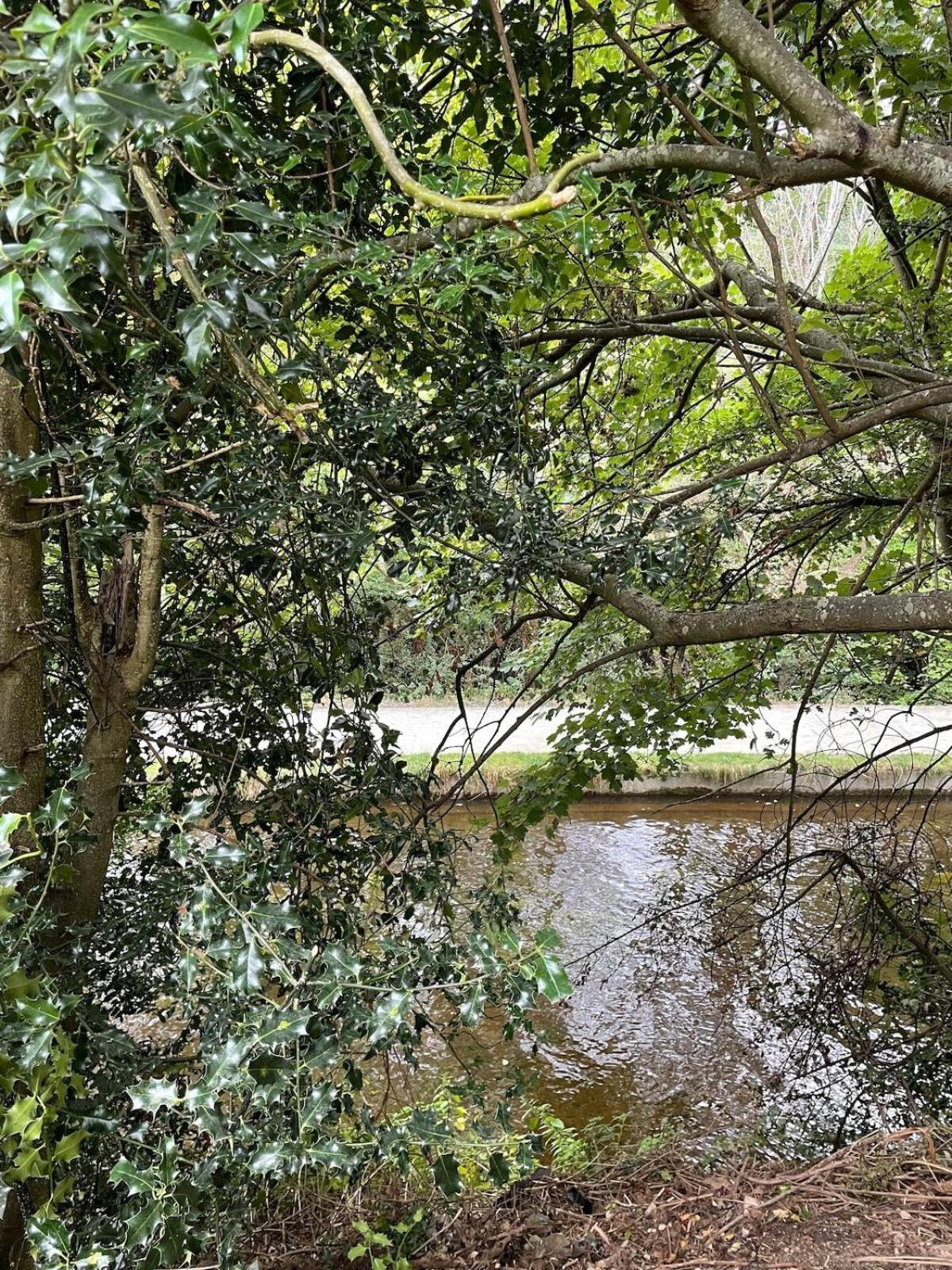 Berwyn With Private Hot Tub *